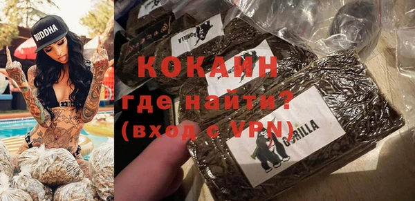ALPHA-PVP Няндома