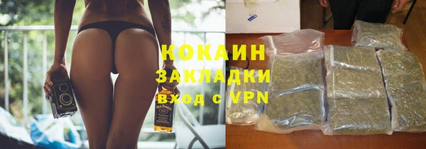 мет Новозыбков