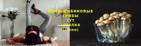 а пвп мука Белокуриха