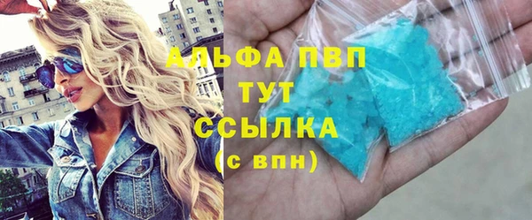 стафф Новодвинск