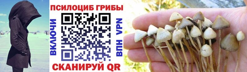 hydra ONION  shop клад  Галлюциногенные грибы Psilocybe  Вельск 